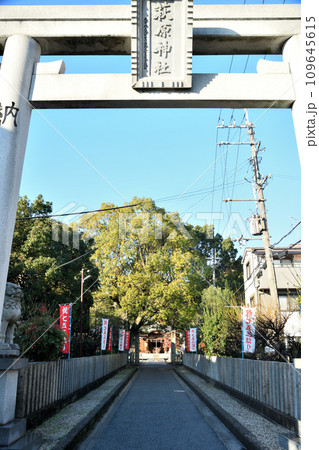 萩原神社(萩原天神)(鳥居・参道・拝殿)　【大阪府堺市】 109645615