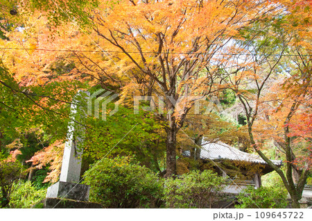 中津川行者堂 【和歌山県紀の川市中津川】 中津川行者堂 【和歌山県紀の川市中津川】 109645722