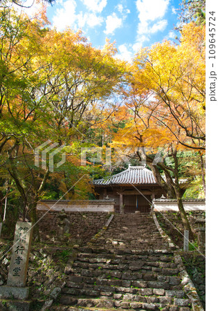 中津川行者堂 【和歌山県紀の川市中津川】 中津川行者堂 【和歌山県紀の川市中津川】 109645724