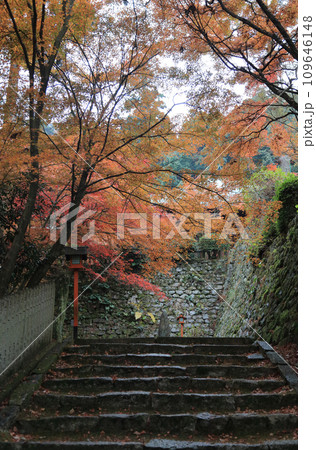 紅葉の名所「四国別格二十霊場第十番札所西山興隆寺」本堂と本堂の壇の石垣を参道下側から見る 紅葉の名所「四国別格二十霊場第十番札所西山興隆寺」本堂と本堂の壇の石垣を参道下側から見る 109646148