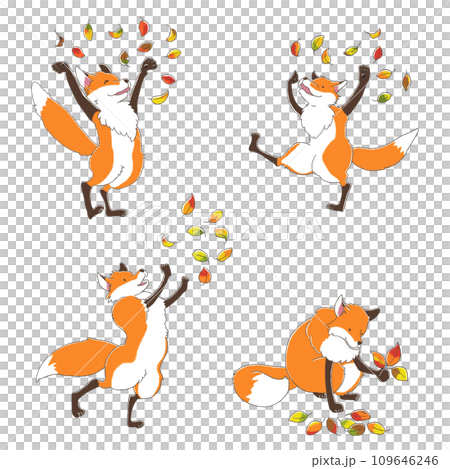 可愛的狐狸玩落葉的插圖集（4隻狐狸，彩色） 109646246