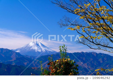 高尾山山頂からの富士山 109646292