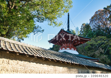 慈尊院(多宝塔) 　【和歌山県九度山町】 109646320
