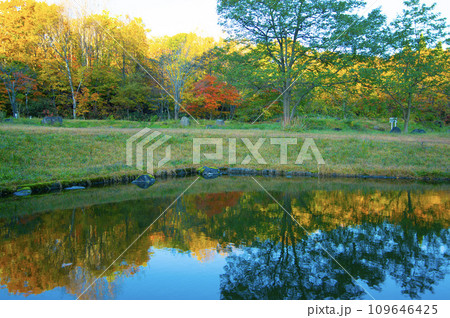 落ち葉と水面風景 落ち葉と水面風景 109646425
