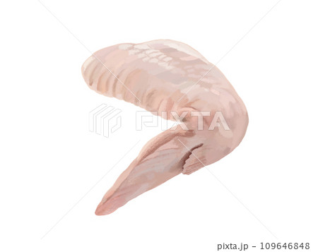 鶏手羽先 109646848