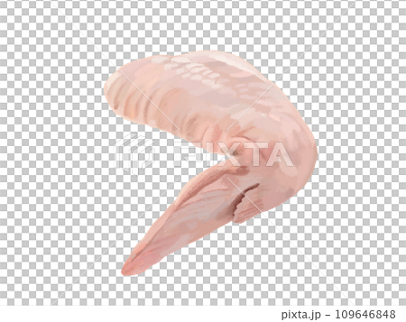 鶏手羽先 109646848