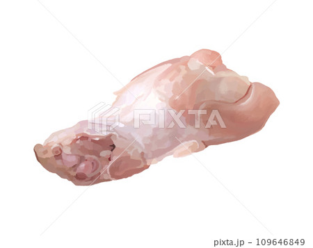 鶏手羽元 鶏手羽元 109646849