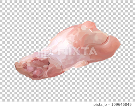 鶏手羽元 鶏手羽元 109646849
