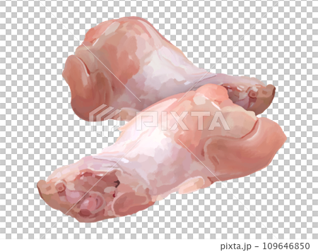 Chicken wings (2 pieces) 109646850