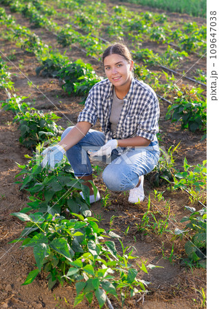 Portrait of satisfied woman demonstrating sprouts of bell peppers on beds of field 109647038