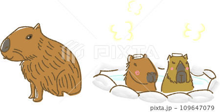 カピバラの手描き風イラスト 109647079