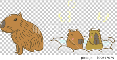 カピバラの手描き風イラスト 109647079
