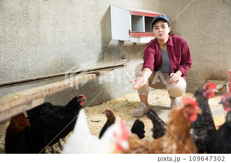 Woman farmer feeding bird in the backyard of village house 109647302