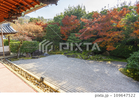 秋の京都 圓徳院 紅葉が美しい南庭 秋の京都 圓徳院 紅葉が美しい南庭 109647522