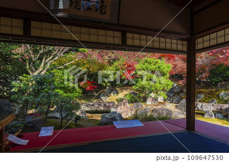 秋の京都 圓徳院 紅葉が美しい北庭 秋の京都 圓徳院 紅葉が美しい北庭 109647530