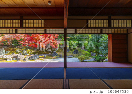 秋の京都　圓徳院　紅葉が美しい北庭 109647536