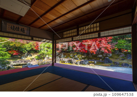 秋の京都　圓徳院　紅葉が美しい北庭 109647538