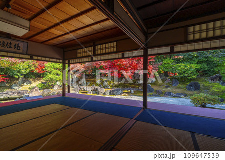 秋の京都　圓徳院　紅葉が美しい北庭 109647539