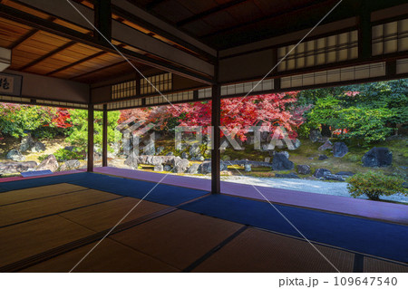 秋の京都 圓徳院 紅葉が美しい北庭 秋の京都 圓徳院 紅葉が美しい北庭 109647540