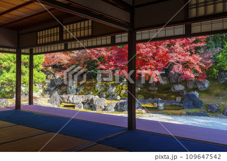 秋の京都 圓徳院 紅葉が美しい北庭 秋の京都 圓徳院 紅葉が美しい北庭 109647542