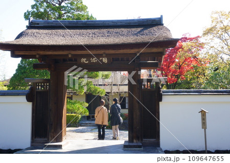 紅葉が映える有楽苑・岩栖門3 109647655