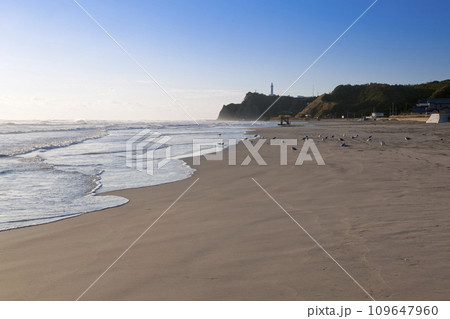 秋の薄磯海岸と塩屋崎燈台 秋の薄磯海岸と塩屋崎燈台 109647960