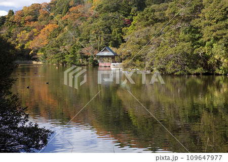 秋の賢沼寺弁天沼うなぎ生息地 秋の賢沼寺弁天沼うなぎ生息地 109647977