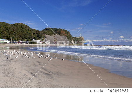 秋の豊間海岸と塩屋崎燈台 秋の豊間海岸と塩屋崎燈台 109647981