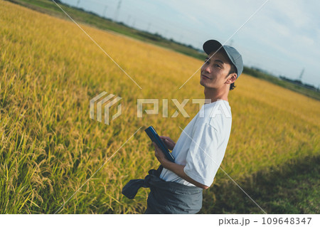 rice farming 109648347