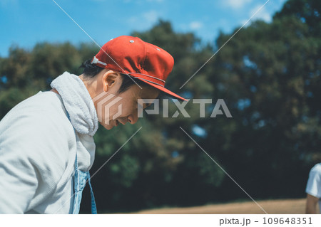 vegetable field vegetable field 109648351