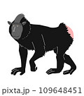 ブラックマカク（クロザル）の全身イラスト　横向き 109648451