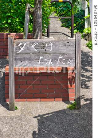 谷中 夕やけだんだん(東京都) 谷中 夕やけだんだん(東京都) 109648790