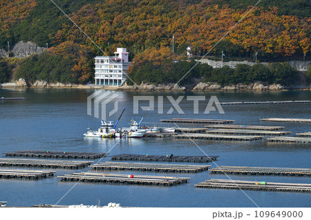 牡蠣の養殖 室津漁港 洗浄した牡蠣をもう一度海中で大きく育てる 牡蠣の養殖 室津漁港 洗浄した牡蠣をもう一度海中で大きく育てる 109649000