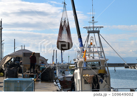 室津漁港 牡蠣の水揚げ風景 室津漁港 牡蠣の水揚げ風景 109649002