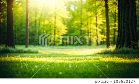 Spring. Forest and Beautiful meadow field with fresh grass in nature Summer spring perfect natural landscape. Spring. Forest and Beautiful meadow field with fresh grass in nature Summer spring perfect natural landscape. 109650127