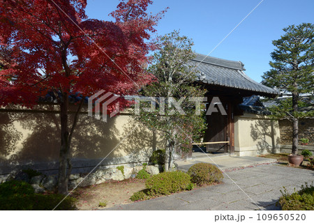 秋の大徳寺 芳春院山門 京都市北区紫野 秋の大徳寺 芳春院山門 京都市北区紫野 109650520