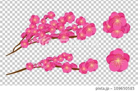 易於在新年、節分和成年儀式中使用的日式粉紅梅花樹的向量插圖素材集。 109650585