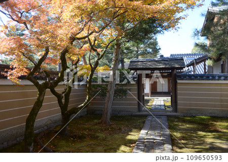秋の大徳寺　龍光院の中門　京都市北区紫野 109650593