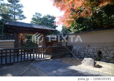 秋の大徳寺 龍光院の山門 京都市北区紫野 秋の大徳寺 龍光院の山門 京都市北区紫野 109650595