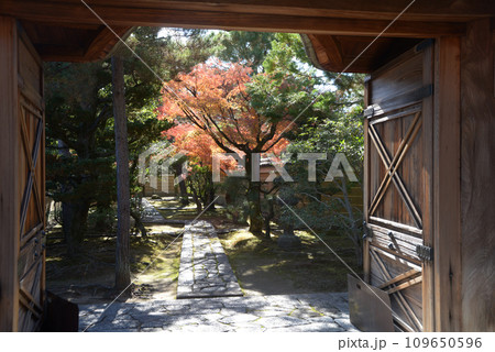 秋の大徳寺　龍光院　山門から境内を望む　京都市北区紫野 109650596