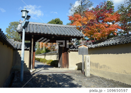 秋の大徳寺　芳春院山門　京都市北区紫野 109650597