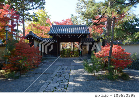 秋の大徳寺　正受院山門　京都市北区紫野 109650598