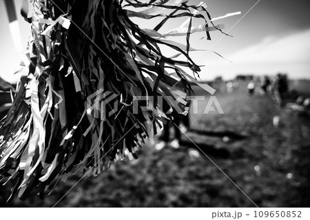 Selective focus on a pom-pom streamer with defocused child running in the background  109650852