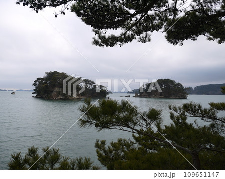 松島の福浦島からの景色 松島の福浦島からの景色 109651147
