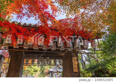 秋の京都 高台寺 紅葉に包まれた台所門(臺所門) 秋の京都 高台寺 紅葉に包まれた台所門(臺所門) 109652005
