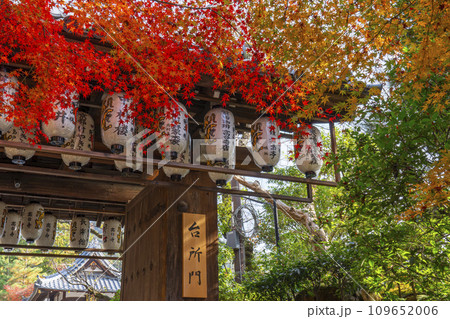 秋の京都 高台寺 紅葉に包まれた台所門(臺所門) 秋の京都 高台寺 紅葉に包まれた台所門(臺所門) 109652006