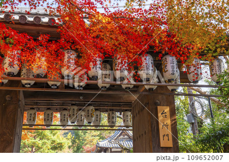 秋の京都　高台寺　紅葉に包まれた台所門（臺所門） 109652007