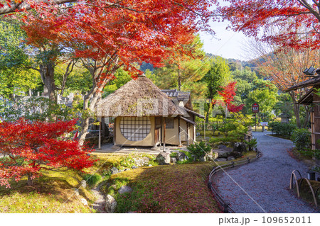 秋の京都　高台寺　紅葉に包まれた茶室「遺芳庵」 109652011