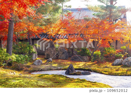 秋の京都　高台寺　紅葉に包まれた波心庭 109652012