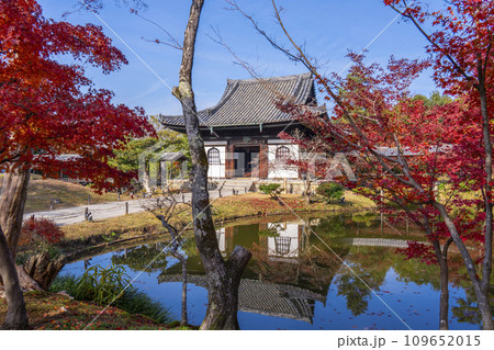 秋の京都 高台寺 紅葉に包まれた開山堂 秋の京都 高台寺 紅葉に包まれた開山堂 109652015